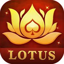 Teen Patti Lotus – Play Yono Rummy OnlineNo.1 Rummy Platform